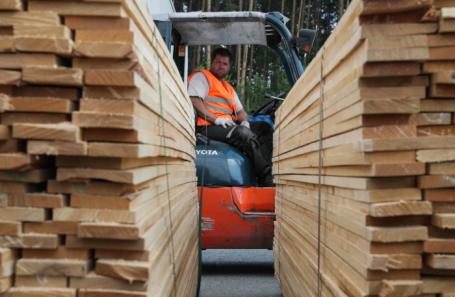 В России на 10% подешевела строительная древесина